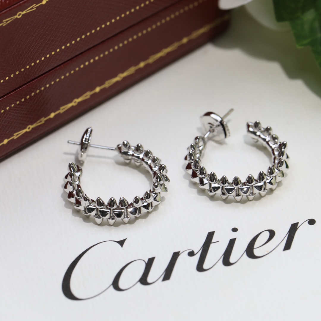 clash de Ca*t*er earrings