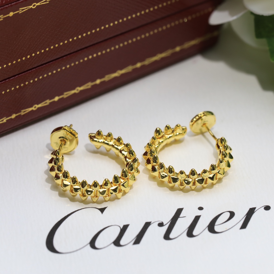 clash de Ca*t*er earrings