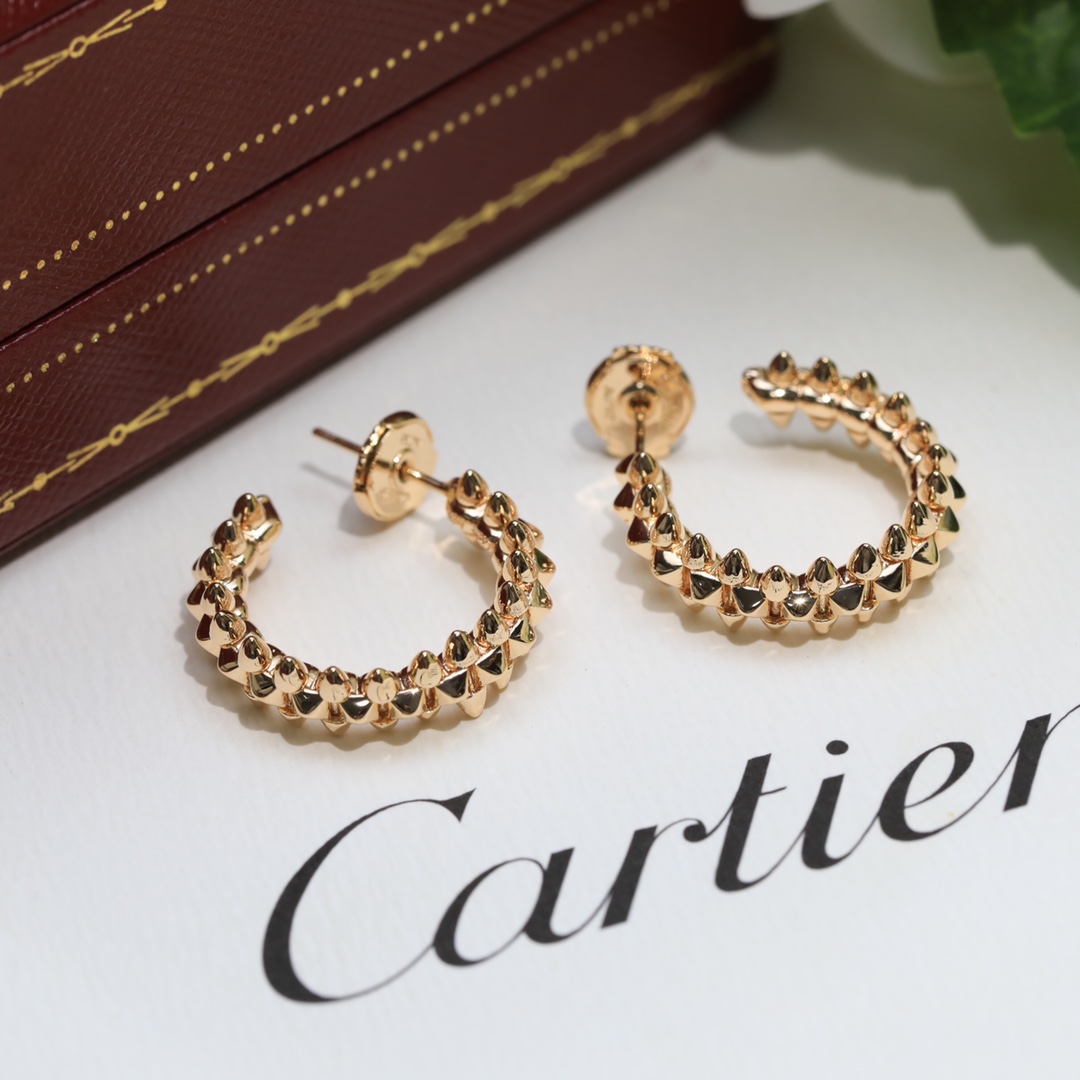 clash de Ca*t*er earrings