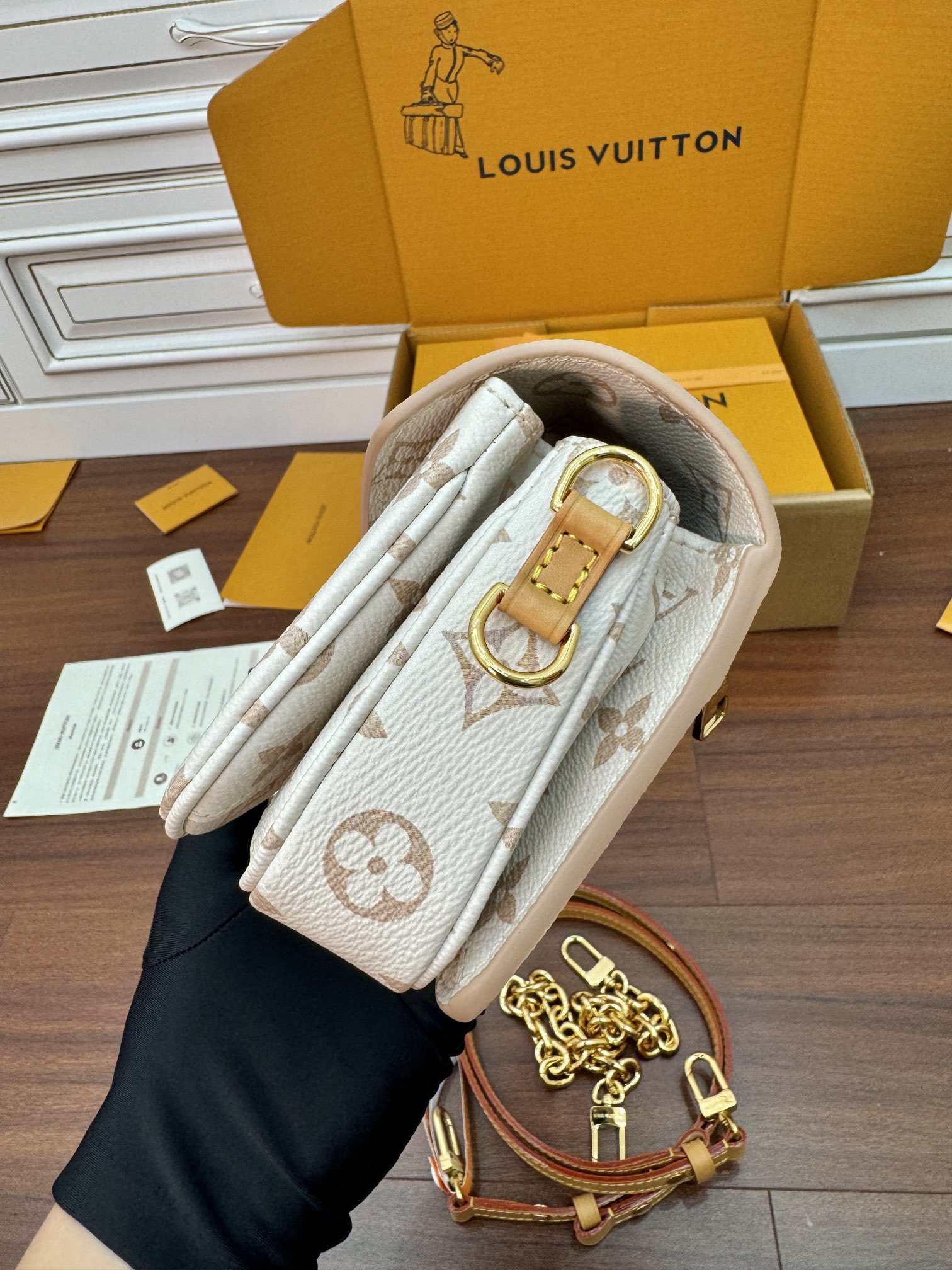LV Bag 1