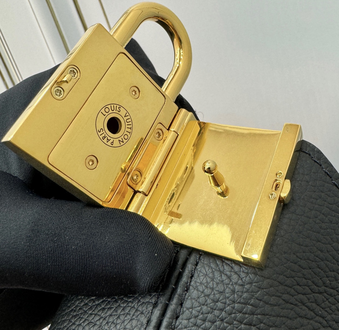 LV Bag 5