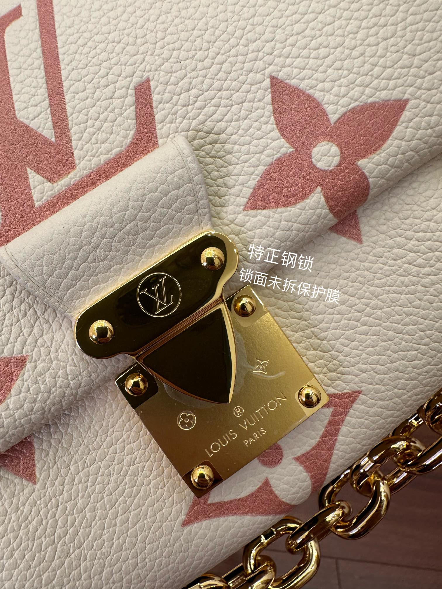 LV Bag 7