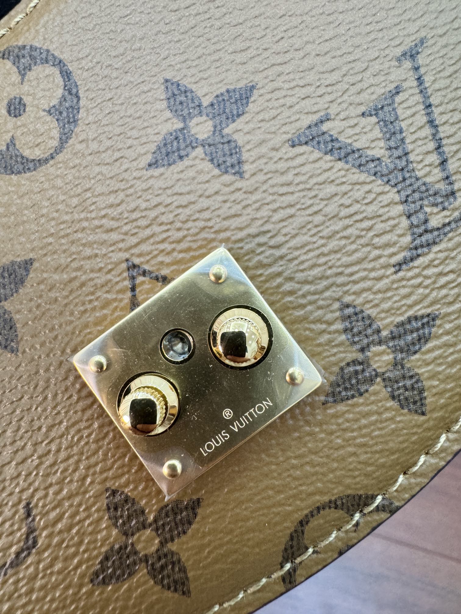 LV Bag 8