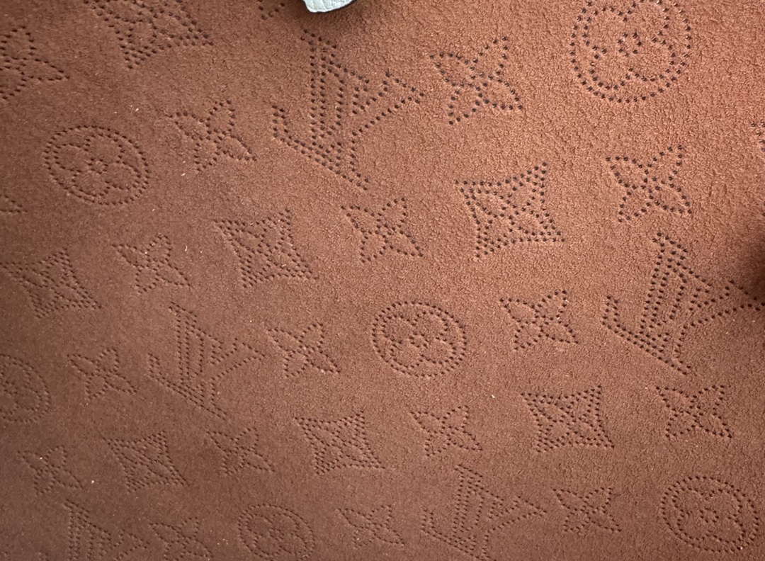 LV Bag 11