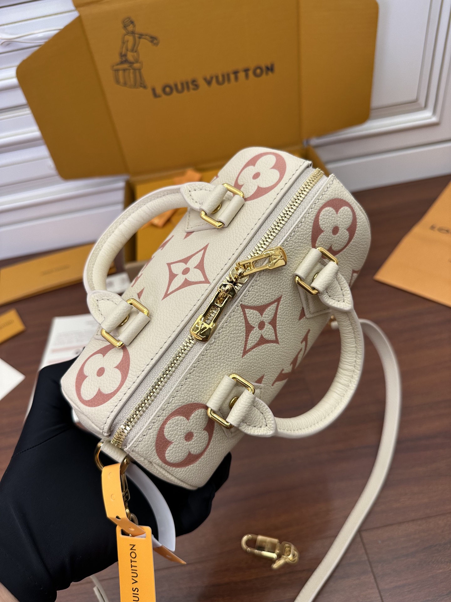 LV Bag 12