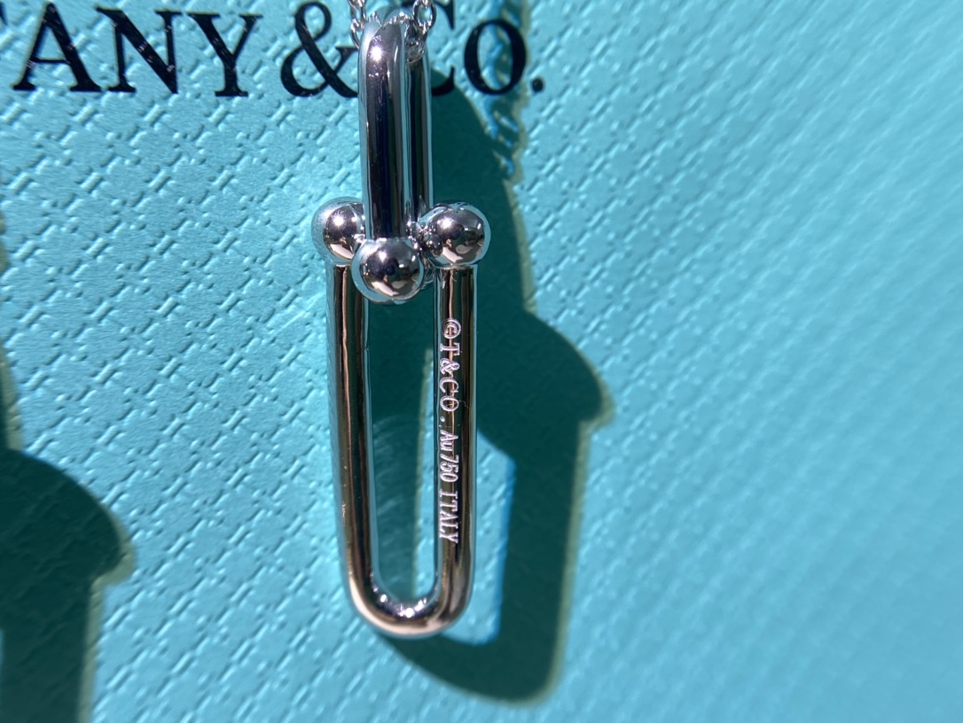 Horseshoe Long Buckle with Diamonds